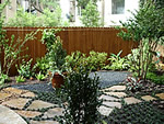 Landscape Design and Installation