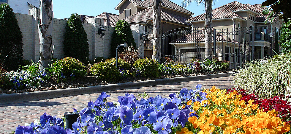 Slider Image 7